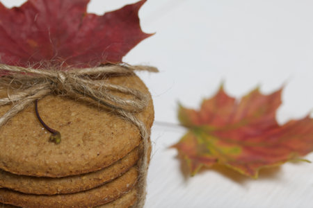 Gingerbread cookies tied with twine and autumn maple leaves. On boards painted white. Close-up shot.の写真素材