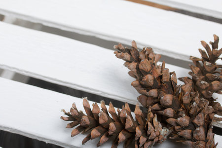 Larch cones. On a box made of white boards.
