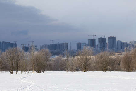 Winter city park. Multi-storey buildings are visible on the horizon.の写真素材