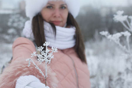 Portrait of girls for a walk in the winter park. The plants are covered with frost and snow. The girl is out of focus.の写真素材