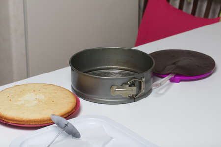 Sponge cake and a layer of jelly. For marshmallow cake. Nearby is a cake mold.