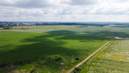 Lodged cereals after storm and hail. Ripening rye. Has suffered from bad weather. Aerial photographyの写真素材