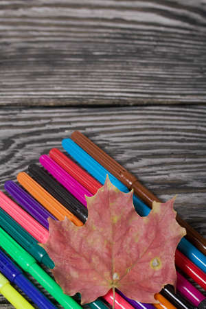 School accessories. Felt-tip pens lie on pine boards. Nearby are fallen maple leaves.の写真素材