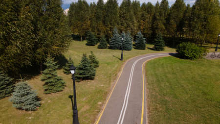 A winding bike path in the park. Winds among trees and bushes. Aerial photography.