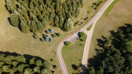 A winding bike path in the park. Winds among trees and bushes. Aerial photography.