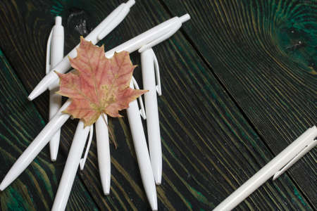 A set of white fountain pens for school. They lie on pine boards. Nearby autumn maple leaves.