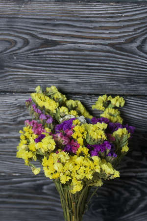 A woman places a dessert of cream and biscuit crumbs on the table. Close-up shot.の写真素材