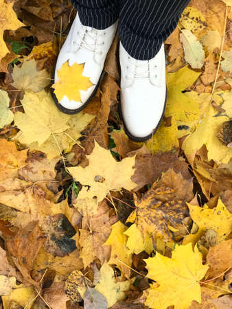 Woman legs in white autumnal shoes. Standing on a carpet of yellow autumn leaves. Filmed from above.の写真素材