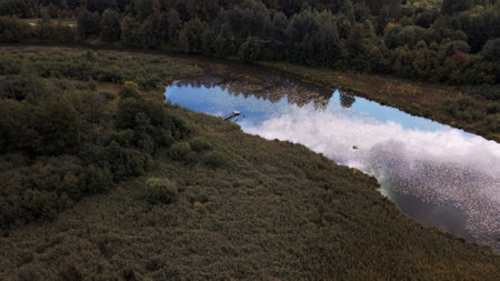 Park area. A winding river with water lilies. Swampy area. Aerial photography.