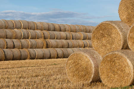Straw rolls, stacked in a pyramid. Close-up shot.