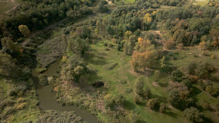 Park area. A winding river with water lilies. Swampy area. Aerial photography.の写真素材