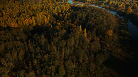 Flight over the autumn park. Trees with yellow autumn leaves are visible. Aerial photography.