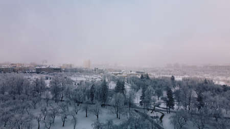 Winter city garden. Trees in the snow. Flying over a snow-covered park. Aerial photography.