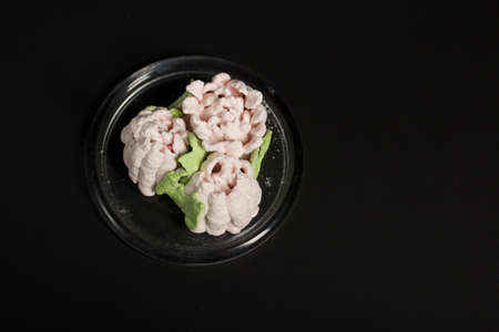 Marshmallow tulips. Zephyr flowers. Sprinkled with powdered sugar.