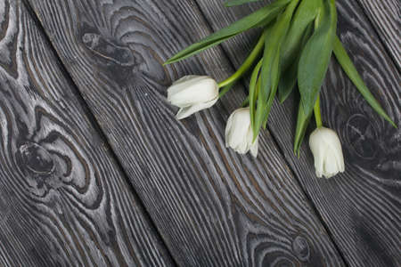 Bouquet of white tulips on black pine boards.の写真素材