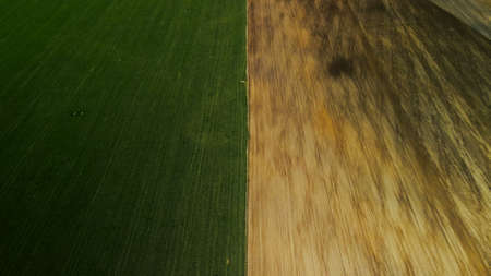 Spring agricultural land. A plowed and cultivated field borders on an uncultivated area overgrown with grass. aerial photography.の写真素材