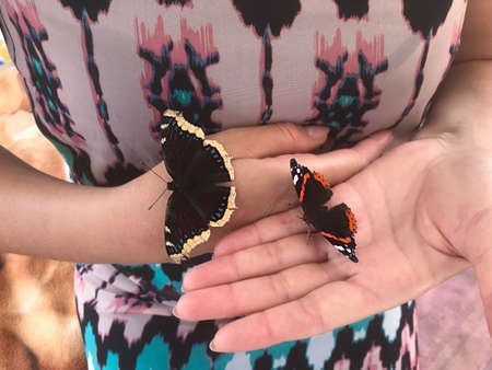 A mourning butterfly on a woman's hand. Spread her wings. Nearby is a butterfly of a different...