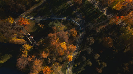 Autumn city park. Trees with colorful leaves. A winding bike path is visible between the trees....