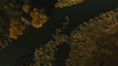 Autumn city park. A meandering river flows between the trees. Trees with colorful leaves. autumn...