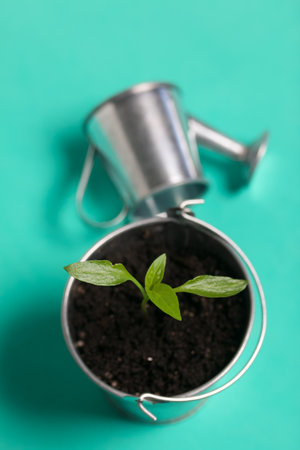 Growing seedlings in a miniature metal bucket. Next to it is a miniature watering can. Green seedling sprouts. close-up.の写真素材