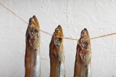 Putassu Cold smoked. Hanging on a string. The fish is wrapped with a strip of paper. Tied with linen twine. close-up.の写真素材