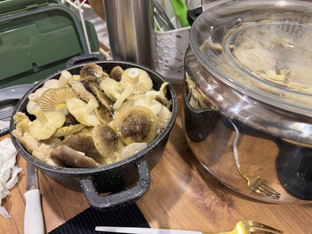 Clean and washed mushrooms in a dish. They are placed next to the stove for cooking. Mushrooms Tricholoma Portentosumの写真素材