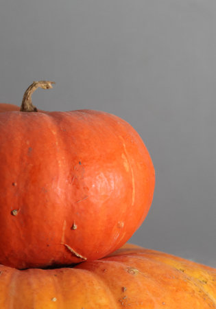 Two orange pumpkins one on top of the other. On a gray background. Close-up.の写真素材
