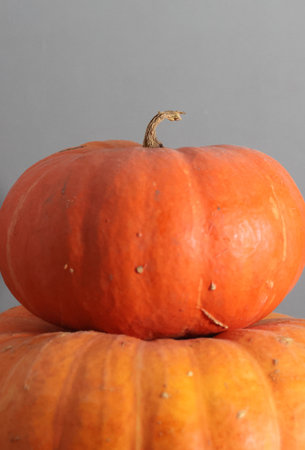 Two orange pumpkins one on top of the other. On a gray background. Close-up.の写真素材