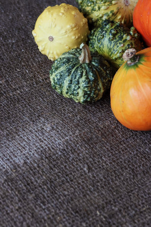 Pumpkins of different colors and sizes arranged on a surface covered with coarse burlap,の写真素材