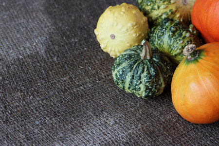 Pumpkins of different colors and sizes arranged on a surface covered with wet coarse burlap,の写真素材