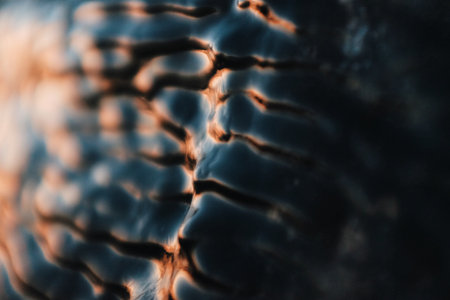 abstract texture of an ice frozen on a rockの写真素材