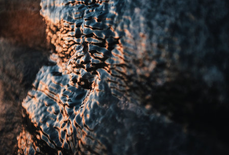 abstract texture of an ice frozen on a rockの写真素材