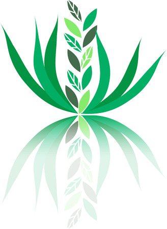 Vector drawing of a green plant - eco concept backgroundのイラスト素材