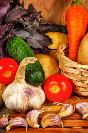 Ripe fresh vegetables close-up shot for the holiday harvestの写真素材