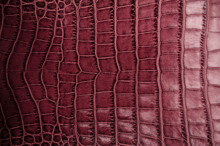 Toned genuine leather texture shot close-upの写真素材