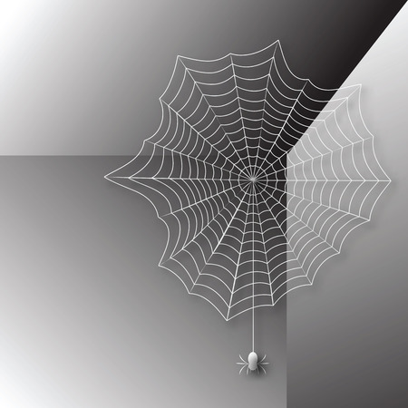 Spider in a web woven corner of the roomのイラスト素材