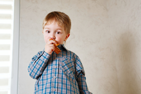 Portrait of little cute boy eating cookies. The concept of simple happiness.の写真素材