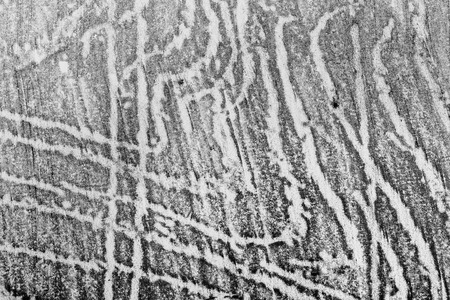 Wood texture wood painted black pencil. Grungy design elements.の写真素材