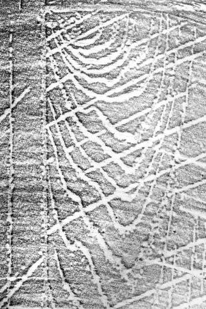 Texture drawn in pencil. Wooden background. Creative design elements.の写真素材