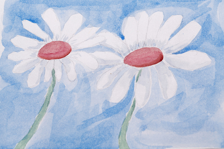Camomiles with watercolor paint on a blue background. Spring flowers. Botanical painting.の写真素材