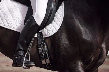 The jockey sits in the saddle on a horse shooting close-up. Leg in treko, crooks and boots is in the...