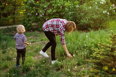 Mother and son in plaid shirts. Woman and boy collect dandelions in meadow. Family time together.の写真素材
