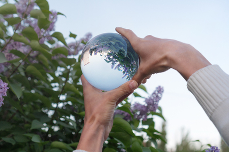 Contact juggling. Hand and acrylic ball. The flowering lilac bush is reflected in the glass sphere.の写真素材
