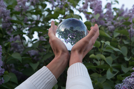 Contact juggling. Hand and acrylic ball. The flowering lilac bush is reflected in the glass sphere.の写真素材