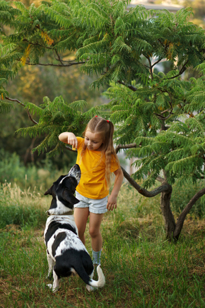 Little girl and mongrel dog outdoors. Child gives treat to her pet. Children and animals.の写真素材