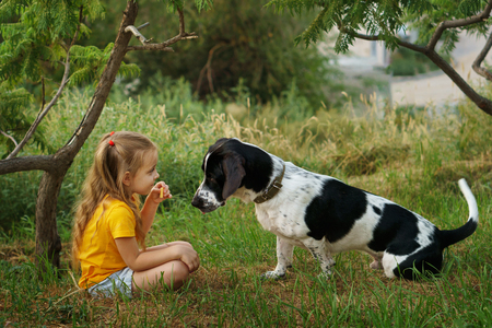 Little girl and mongrel dog outdoors. Child and pets are sitting on lawn. Children and animals.の写真素材
