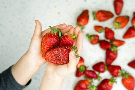 Child hand holding freshly picked strawberries on the table. Natural organic food production. Heap of summer red berries. Homegrown, gardening and agriculture consept. Healthy eating. Soft focusの写真素材