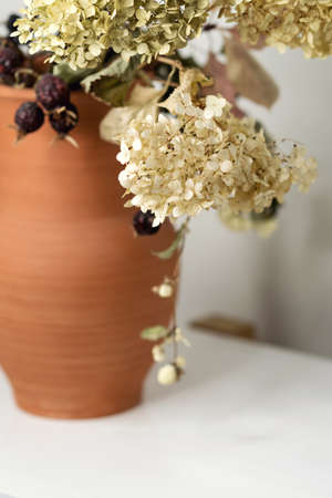 Dried flowers and berries in clay jug on white background close up. Educational still life for...