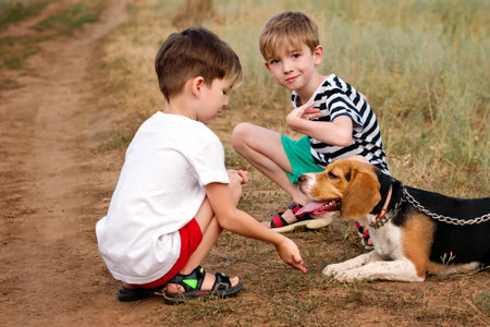 Two little children brothers walk countryside with purebred beagle. Boys train dog outdoors. Teach pet to follow commands and give paw.の写真素材
