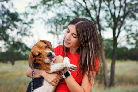 Portrait Caring Young Adult Woman Hug Dog Outside. Purebred Beagle Relax In Hands Of Owner Shows Its Tongue. Real People Everyday Life. Authentic Lifestyleの写真素材